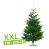 Christbaum schmal 220cm