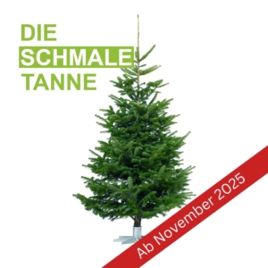 Schmale Tanne ab Nov 2025